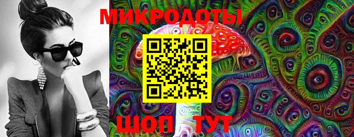 Псилоцибиновые грибы Psilocybe  Вход с VPN  Моздок 