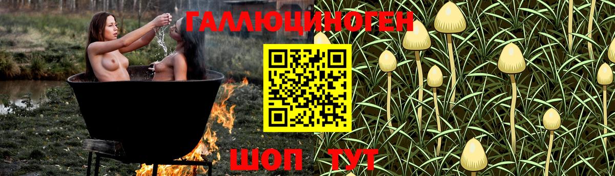 Псилоцибиновые грибы Cubensis Моздок